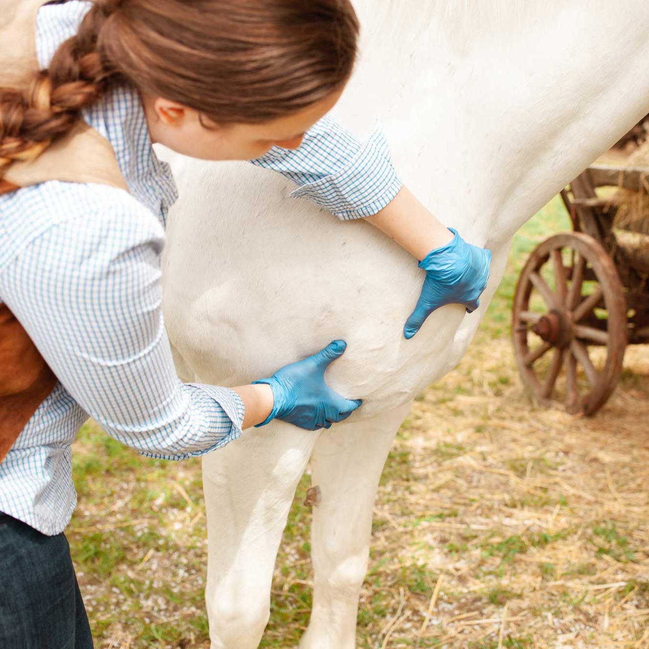 Ayurveda Fastenkurse